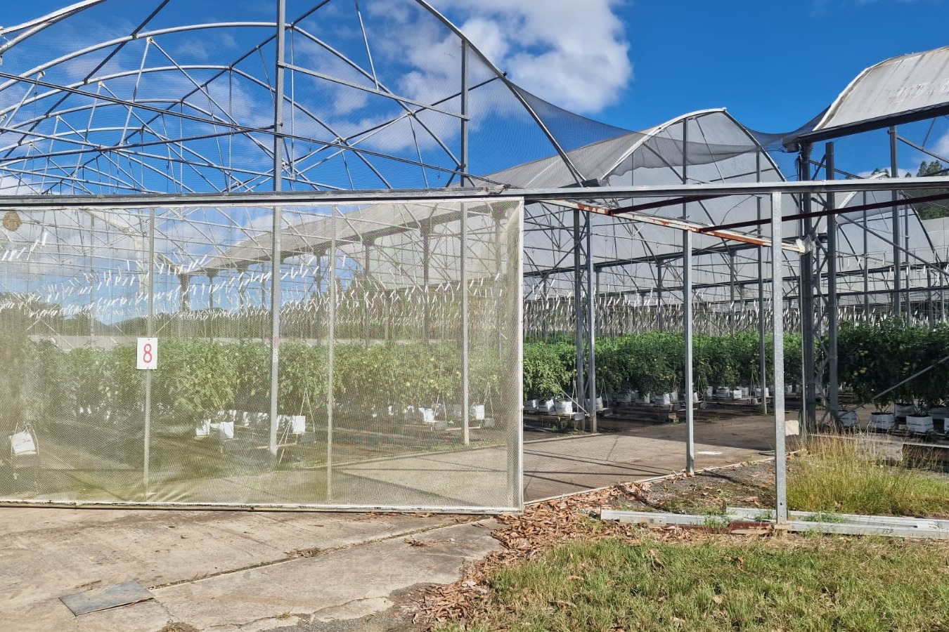 Serre agricole équipée d'un système d'automatisme de ventilation IoT